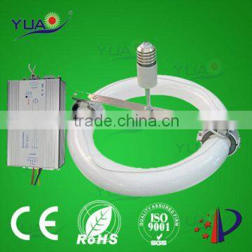 Magnetic Induction Lighting Factory E40 80W 120W 150W Bulb Low-frequency
