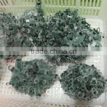 Decorative Natural Green Phantom Quartz Crystal Clusters photo-4