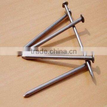 Common iron wire nails