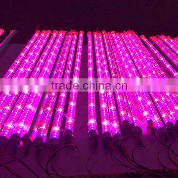 China manufacturer dc24v 0.6m 9w t8 660nm 440nm blue led grow light