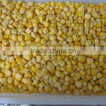 IQF frozen sweet corn kernels