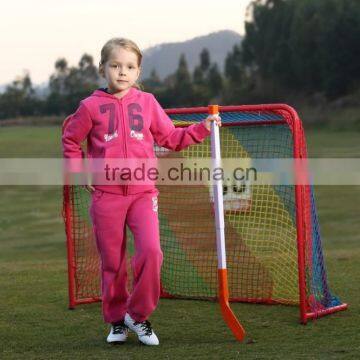 ice hockey nets (good toy for kids)