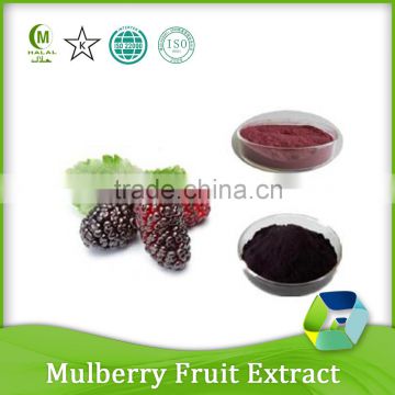 mulberry fruit anthocyanin powder