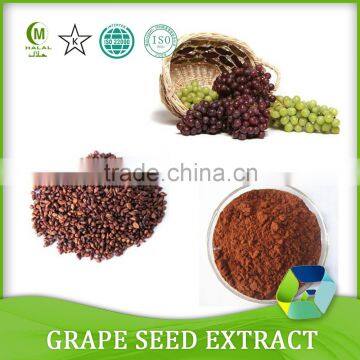 Antioxidant product Grape seeds extract and Grape seed powder extract