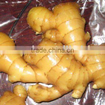 fresh ginger 150G for EU MARKET