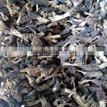 Black Morel Mushroom Market Price Dried Morel Mushroom Magic Mushrooms Dried photo-2