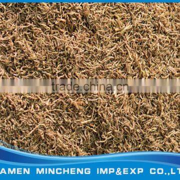 Freeze Dried Bloodworms