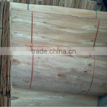 90%A+10%B Eucalyptus Core Veneer for Making Plywood ( customer@kego.com.vn)