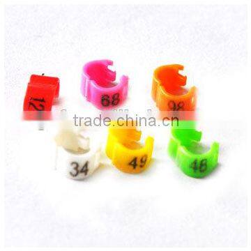 Bright Color WITH ENGLISH LETTER ON THE RINGS Made in China photo-4