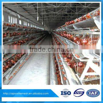 chicken farmers used laying hens cage for sale