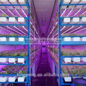 Container Greenhouse for Agriculture photo-4