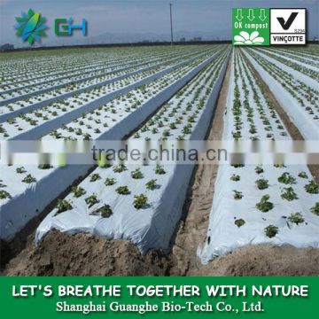 Degradable agriculture film/manufacture PLA plastic mulch film