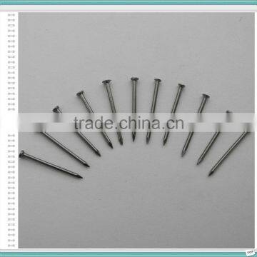 2.5" Polished Nail/Common Nail/Wire Nail