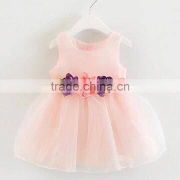 Wholesale Hot Sale Promotional Appliques Flowers Sleeveless Baby Girl Dress photo-2