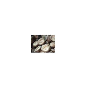 frozen shiitake mushroom (whole,quarter,slice)
