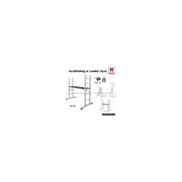 SCAFFOLDING & LADDER SYSTEM