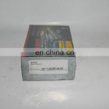 Genuine Part U109 Wuxi Weifu Fuel Plunger Element XY85IW40 Plunger IW6 for Laidong 495 photo-3