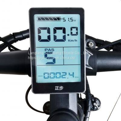 Aluminum Alloy Mountain Bicycle Microshift 27speed 26*16inch E-Bike photo-3