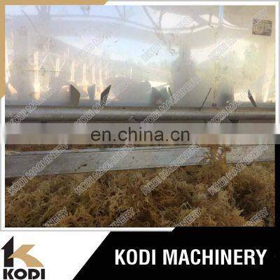 DW Model Seaweed Mesh Belt Drying Machine