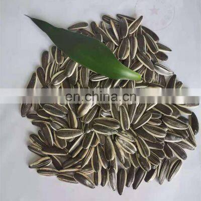 Wholesale Cha Cha Roasted Sunflower Seeds Snacks Peeled Best Quality Inner Mongolian Sunflower Kernel Crop 2020 From CN photo-2