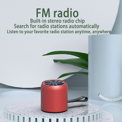 Hifi Stereo Music Box Speakers TF FM TWS Shake Function Wireless Mini Portable Speaker photo-2