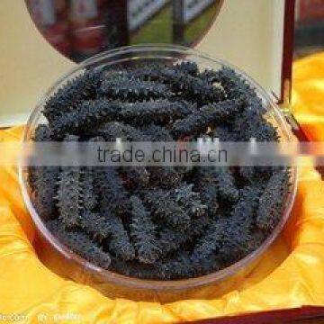 Pured dry sea cucumber namako