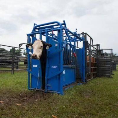 2025 New Mold Steel Tube Chute for Cattle