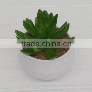 Best selling high simulation mini artificial plants and succulent with best price