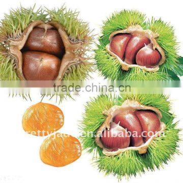 2013 chinese fresh chestnut(yellow white flesh)