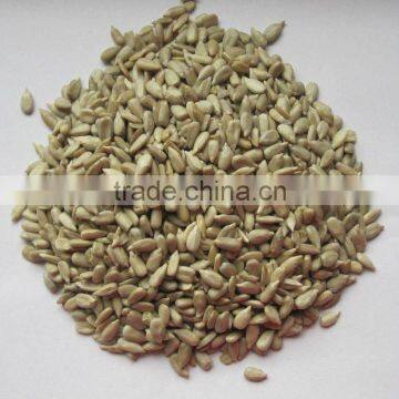 new crop sunflower seed kernel