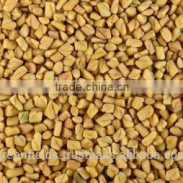 Fenugreek Natural Essential Oil