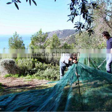DTON02-58 Olive Net