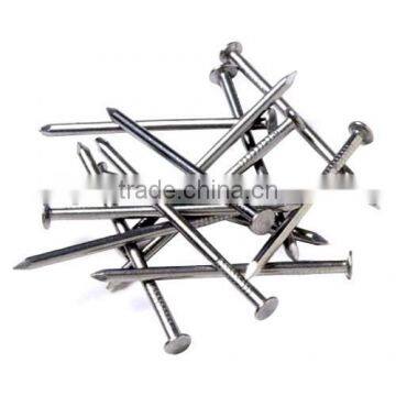 Good Manufacturer of Common Nail/best Price for Nails photo-3