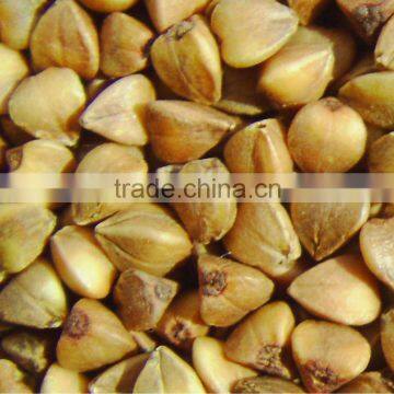 Brown Roasted Buckwheat Kernels ,Crop 2013
