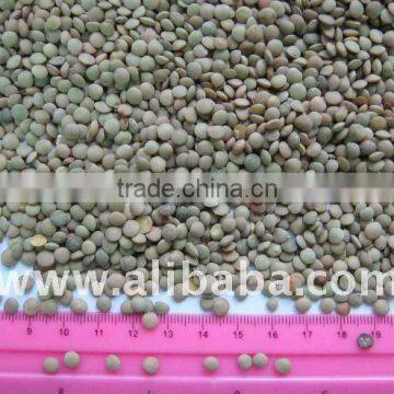 green lentils