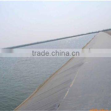 Good Sale Cheap Hdpe Sewage Geomembrane for Waterproof photo-5