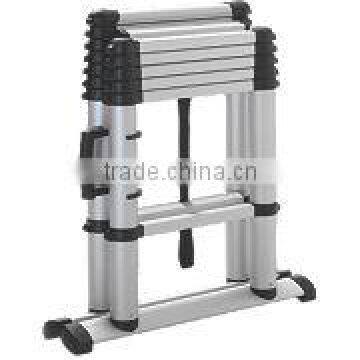 Telescopic Combination Ladder