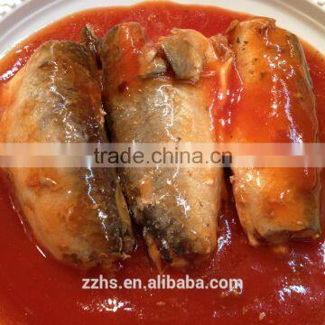 Canned Mackerel in Tomato Sauce