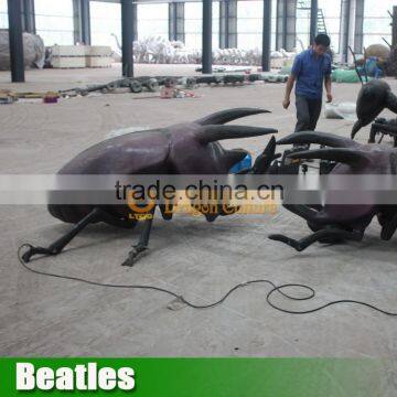 Insect Model Beatles for Sale photo-4