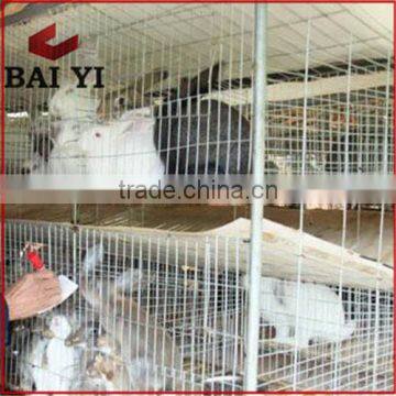China Hot Sale Cheap Large High Quality Galvanized Rabbit Cage photo-3