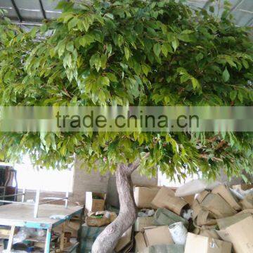 New product Best selling evergreen carambola fake tree artificial tree for decoration