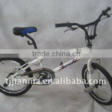 20" Perfect Performance Bike/BMX