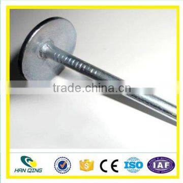 Hot Dipped galvanized Roofing Nail with ring shank