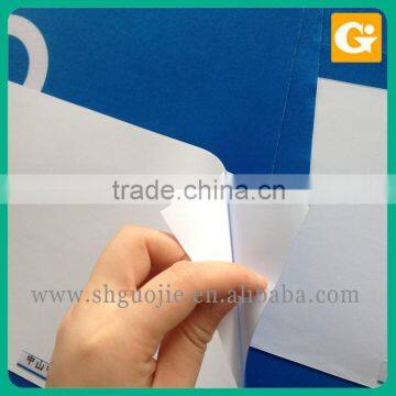 Wall Floor Decal Lamination Solvent Blue White PE Sticker photo-3