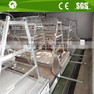 3 tier A type ladder chicken cages for layers with pp belt manure removal system