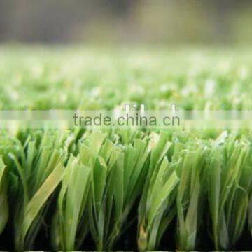 Grass for Tennis Court and Racetrack photo-6