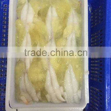 argentinus illex squid roe