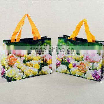 2015 China Wholesale Recycle pp Woven Shopping Bags With Double Zipper,fashion Woman Bag, photo-2