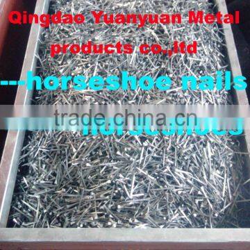 100% real factory direct selling steel wholesale horse shoe nails