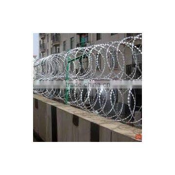Hot Popular Concertina Razor Wire Direct Form Factory photo-6